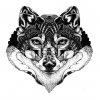 foxvn