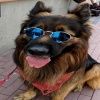 ImCrash