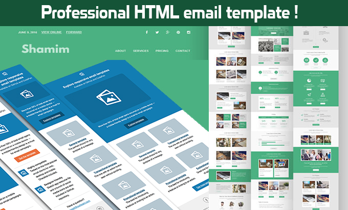 design a professional HTML email template or business...