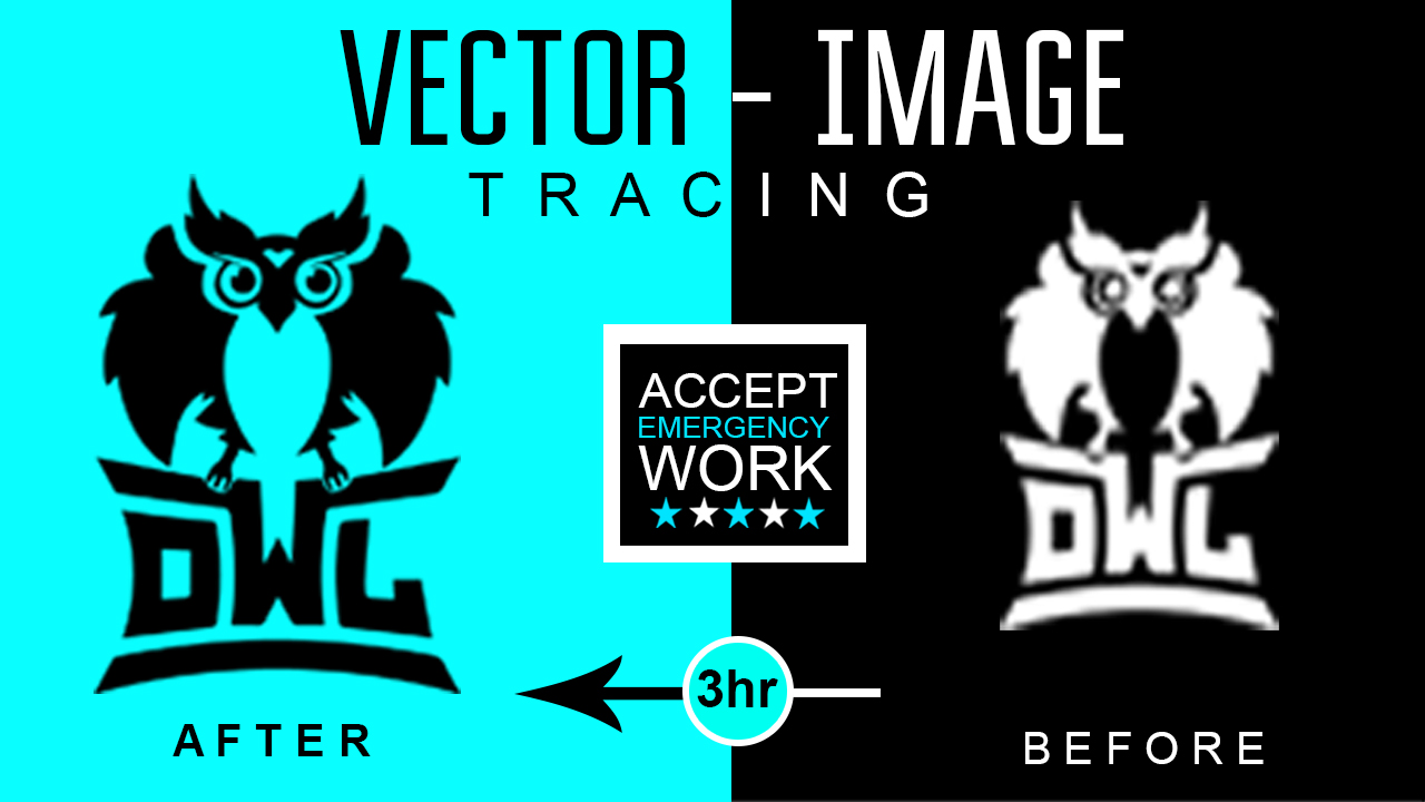 I will recreate, remake, redraw or redesign your lo...