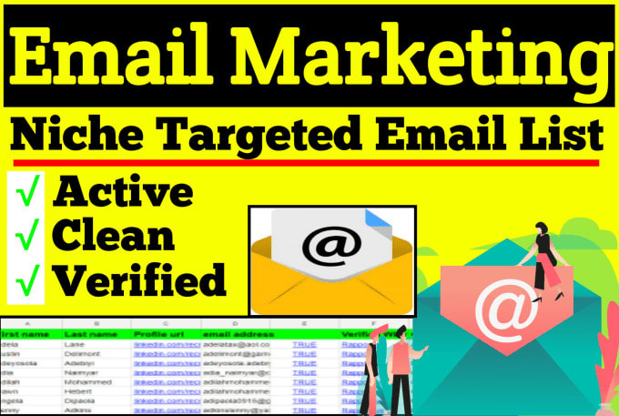 I will provide per 1k 1 an active niche targeted emai...
