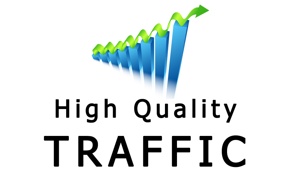Real live unlimited quality traffic in a month includ...