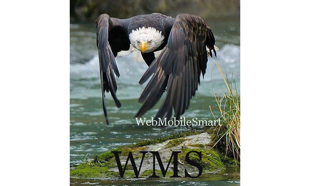 Is Your Business Web Mobile Smart