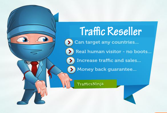 XMAS SALES - Become a Website Traffic Reseller in 24 ...