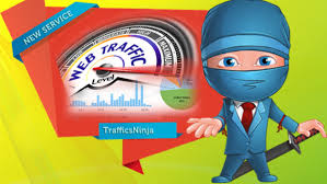 grant you access to 100,000 Real Traffic Hits to Your...