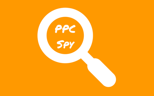 I will spy PPC keyword and ad set report for any webs...