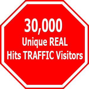 Drive 1000 VISITORS PER DAY FOR 30 Days