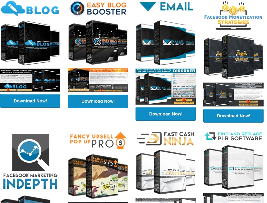 100 Buyer Only!!! Pack100 - Bundling 100 Product of Our Digital Product