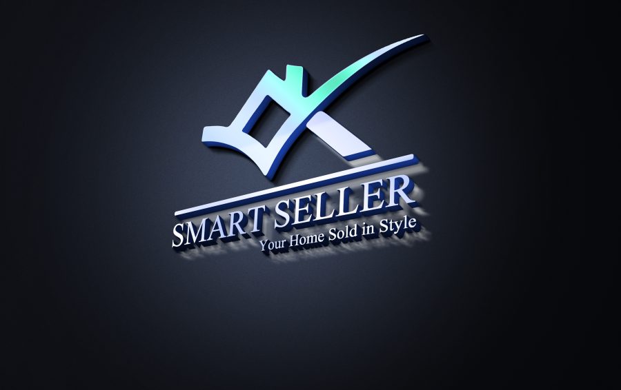Design high quality 2 professional logos