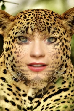 Put Your Face On Another Body Or In Other Costume Or Clothing