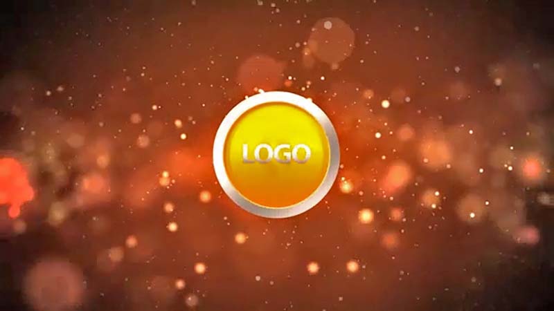 We can create a stunning logo effects & intro & outro videos