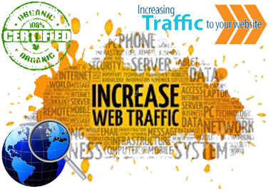 Ultimate 5,000+ USA Real Human WEB TRAFFIC to Your Website Top Ranking