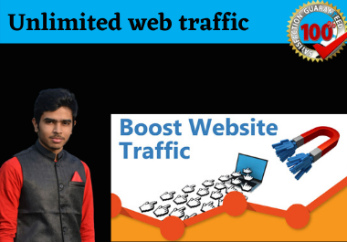 I will bring real visitors targeted, web traffic for your website