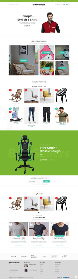 I will design a professional WordPress and ecommerce website