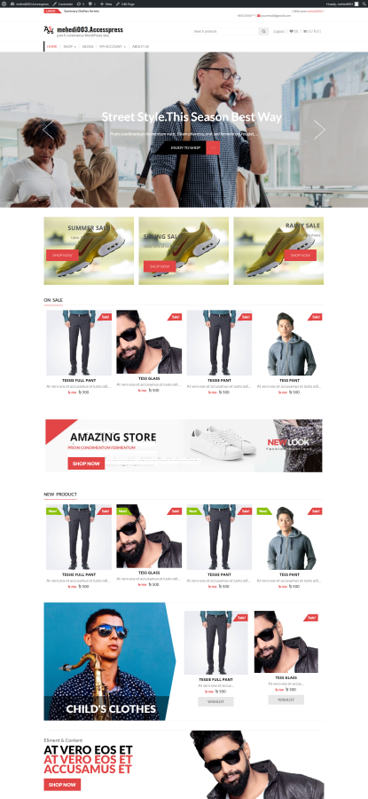 I will design a professional WordPress and ecommerce website