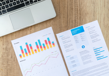 I will do a SEO audit report for websites