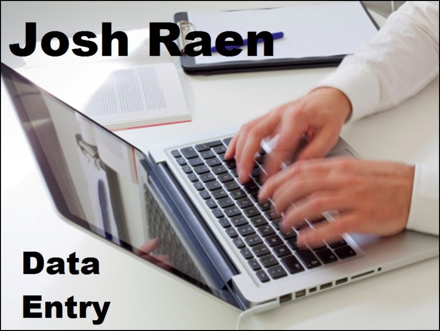 do data entry work for you (3 hour max)