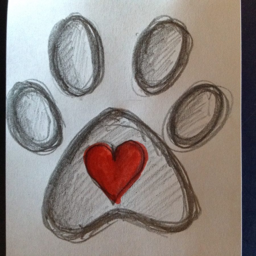 Distance Reiki Treatment for Pets