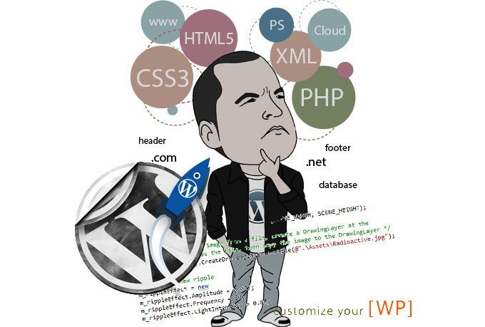 I will fix your Wordpress theme and layout issues