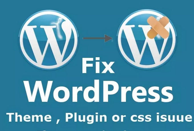 I will fix your Wordpress theme and layout issues