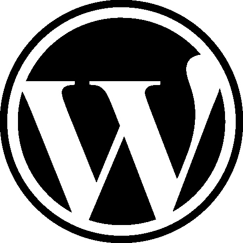 Customize Wordpress, Fix WP error, edit theme and template