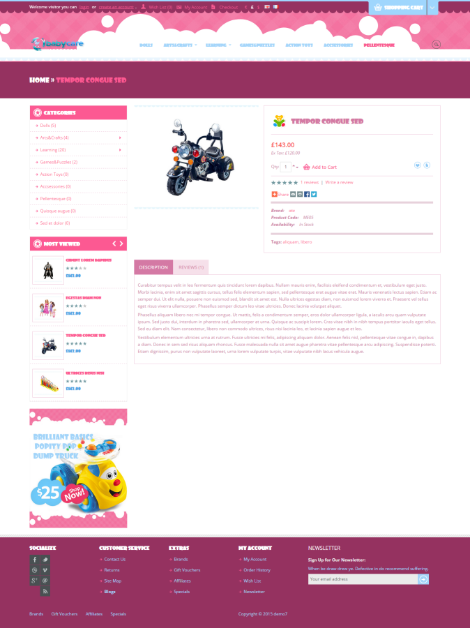 Professional eCommerce Website Online Shop