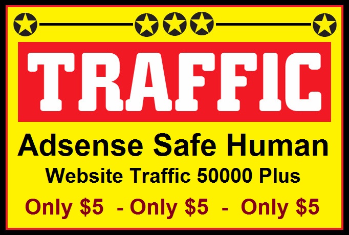 50000 + REAL Visitors to your Website or Blog to Boost your Alexa,Adsense Safe Human Website Traffic