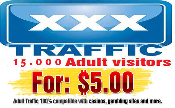 Promote Your Websites 15 000 Real Visitors Guaranteed