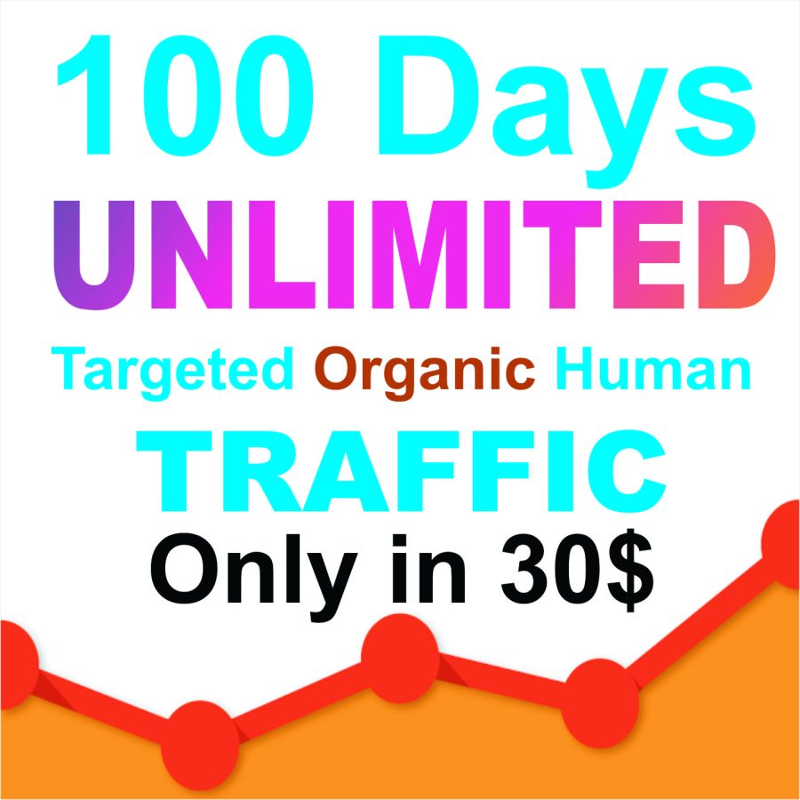 100 days UNLIMITED Keywords Targeted REAL HUMAN TRAFFIC