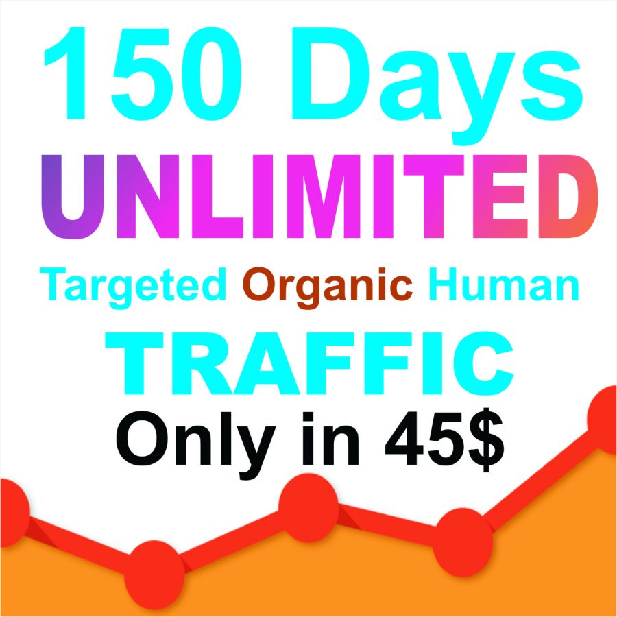 100 days UNLIMITED Keywords Targeted REAL HUMAN TRAFFIC