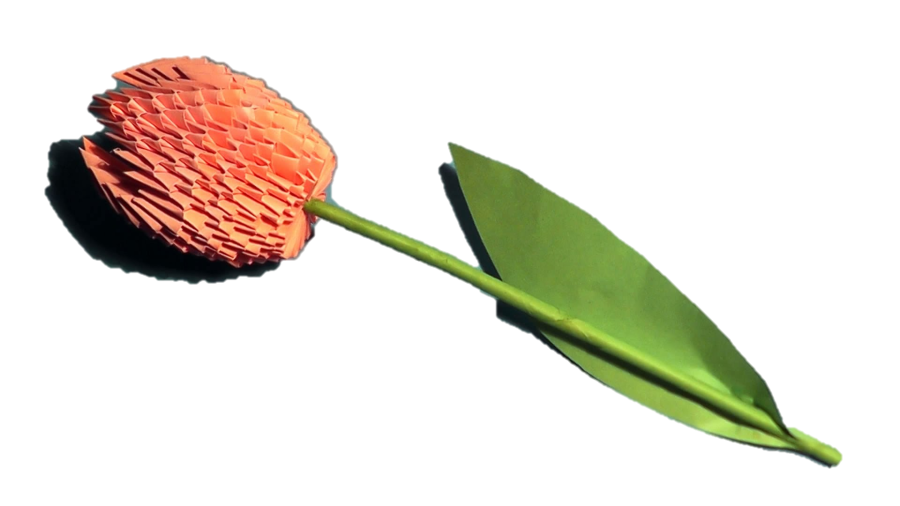 Remove 20 simple images background removal