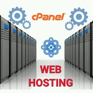 50GB Web Hosting 1YR