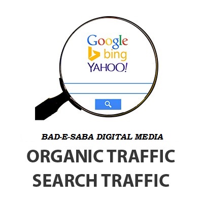 Get 1000+ Organic Traffic For Your Website or Blog !