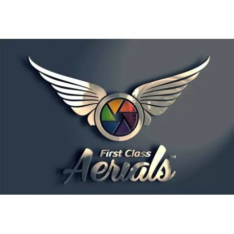 Professional logo make or editing