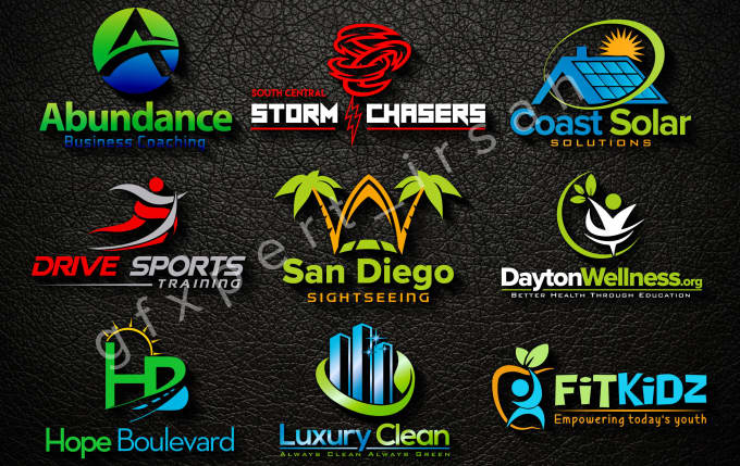 Professional logo make or editing