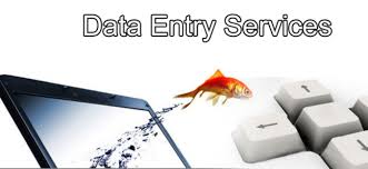 Professional data entry, article writing and research