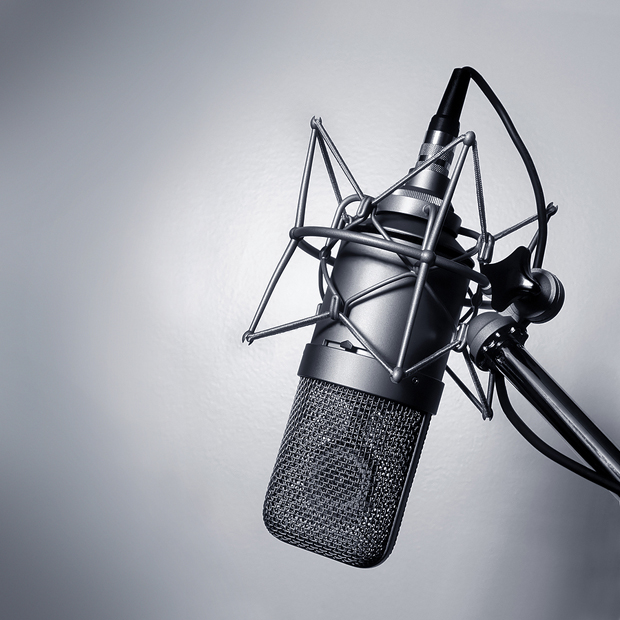 Professional Voice Over