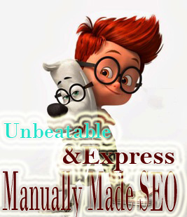 Unbeatable And Express Manually Made SEO Offer 