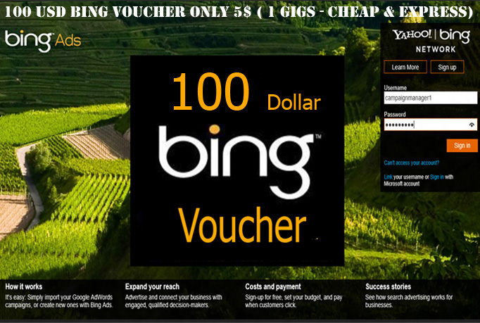 I will give you 100 Bing Ads Coupon Code for 