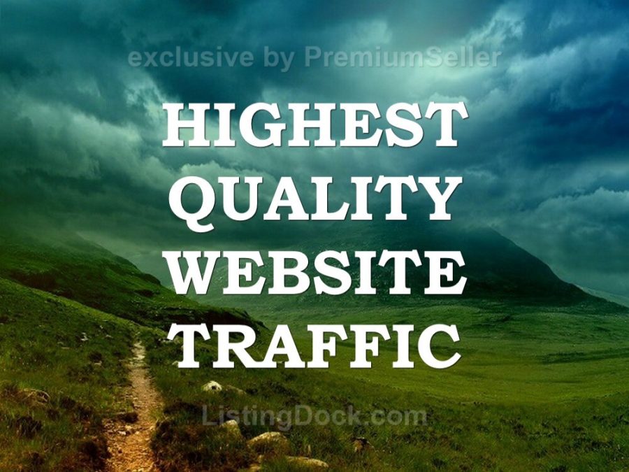 Google proved UNLIMITED Traffic, DAILY Real Visits from HT sites, guaranteed min 250+ daily visits