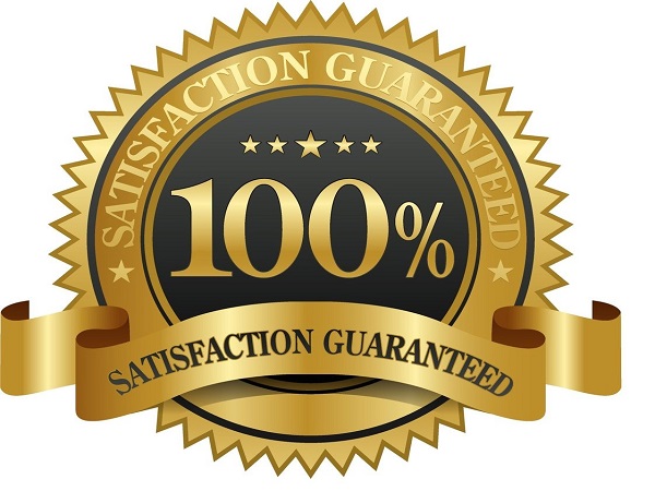 Google proved UNLIMITED Traffic, DAILY Real Visits from HT sites, guaranteed min 250+ daily visits