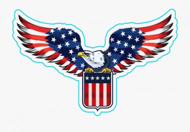 Provide Quality USA Traffic to your Website