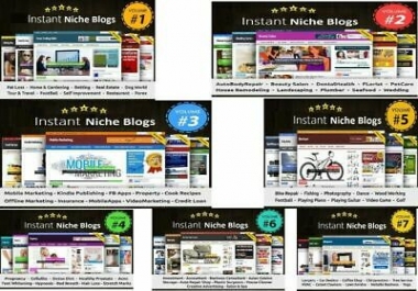 70 Ready Made Niche Blogs - Make Money