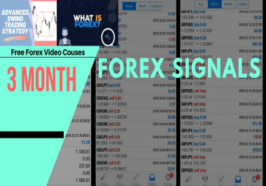 give you accurate forex signals 3 month