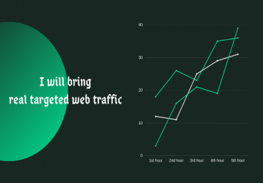 I will bring real targeted web traffic