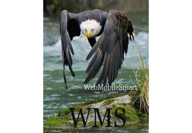Is Your Business Web Mobile Smart
