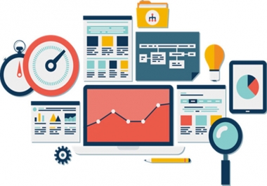 I will create a killer Seo Report using IBP within 24 hours