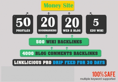I will BUILD SEO PACKAGE Exclusive Seo Link Pyramid