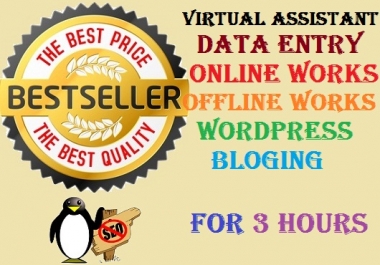 Data entry work for 3 hours