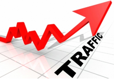 I will unlimited Human traffic 100 days